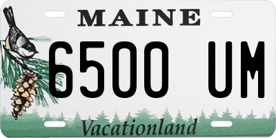 ME license plate 6500UM