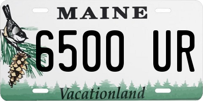 ME license plate 6500UR