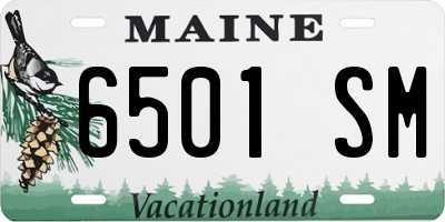 ME license plate 6501SM