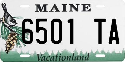 ME license plate 6501TA