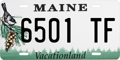 ME license plate 6501TF