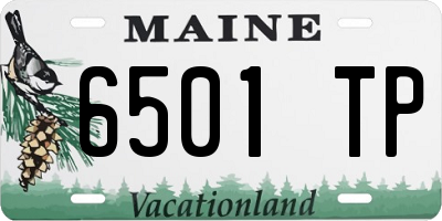 ME license plate 6501TP
