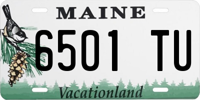 ME license plate 6501TU