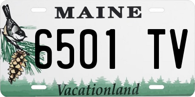 ME license plate 6501TV