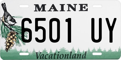 ME license plate 6501UY