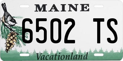 ME license plate 6502TS