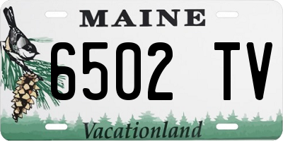 ME license plate 6502TV