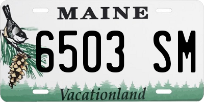 ME license plate 6503SM