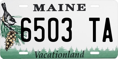ME license plate 6503TA
