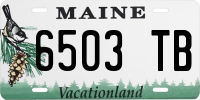 ME license plate 6503TB