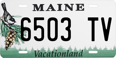 ME license plate 6503TV