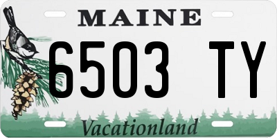 ME license plate 6503TY