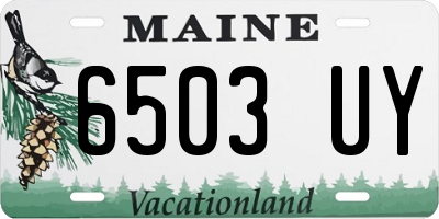 ME license plate 6503UY