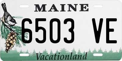 ME license plate 6503VE