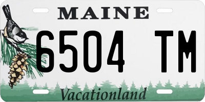 ME license plate 6504TM