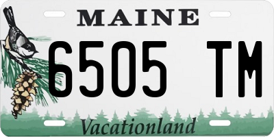 ME license plate 6505TM