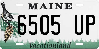 ME license plate 6505UP