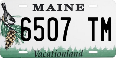 ME license plate 6507TM