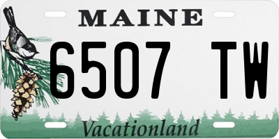 ME license plate 6507TW