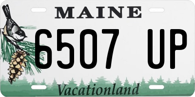 ME license plate 6507UP