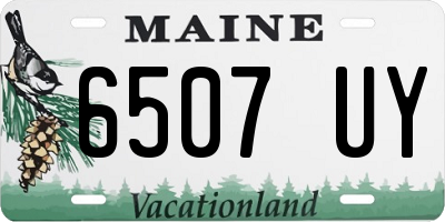 ME license plate 6507UY