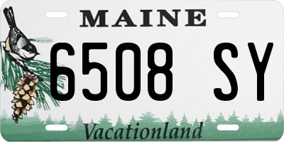 ME license plate 6508SY