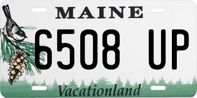 ME license plate 6508UP