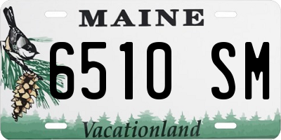 ME license plate 6510SM