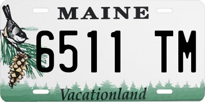 ME license plate 6511TM