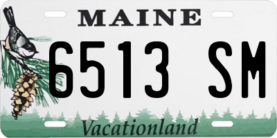 ME license plate 6513SM