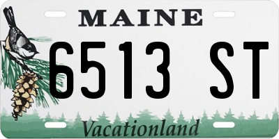 ME license plate 6513ST