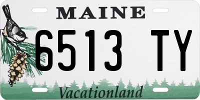 ME license plate 6513TY