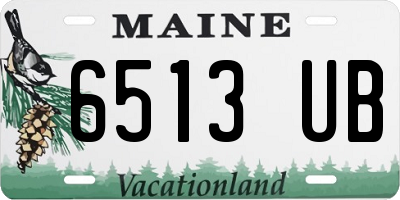 ME license plate 6513UB