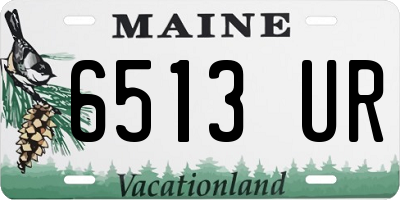 ME license plate 6513UR