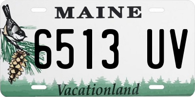 ME license plate 6513UV