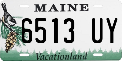 ME license plate 6513UY