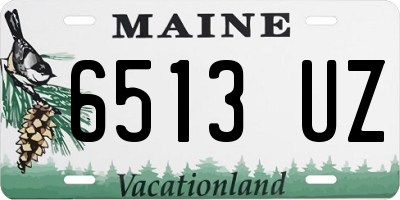 ME license plate 6513UZ