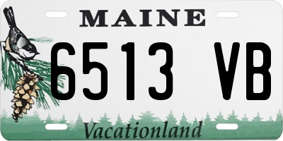 ME license plate 6513VB