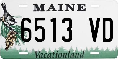 ME license plate 6513VD