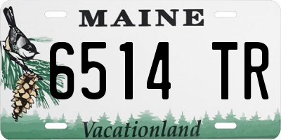 ME license plate 6514TR