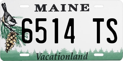 ME license plate 6514TS