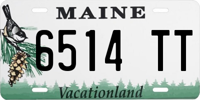 ME license plate 6514TT