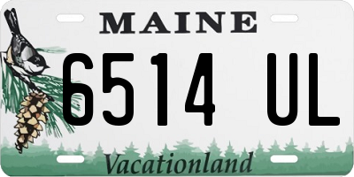 ME license plate 6514UL