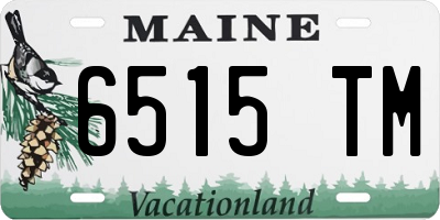 ME license plate 6515TM