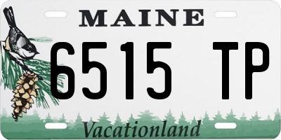 ME license plate 6515TP