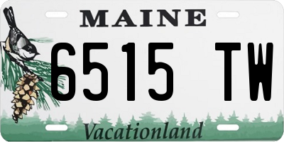 ME license plate 6515TW