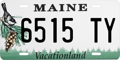 ME license plate 6515TY