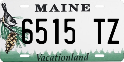 ME license plate 6515TZ