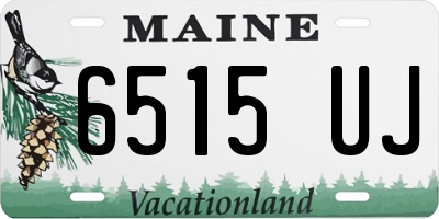 ME license plate 6515UJ