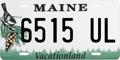 ME license plate 6515UL